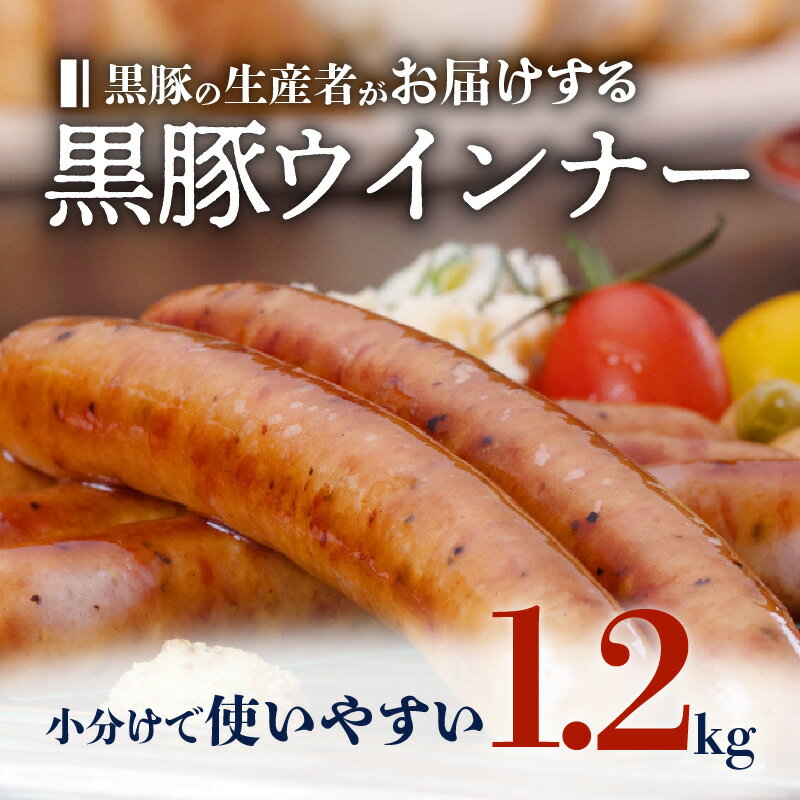 【ふるさと納税】種豚場がお届けする鹿児島伝統の黒豚　黒胡椒の効いた黒豚ウインナー ふるさと納税 鹿児島市 鹿児島県産 黒豚 黒ぶた ウインナー 小分け 特産品 ギフト 贈り物 贈りもの