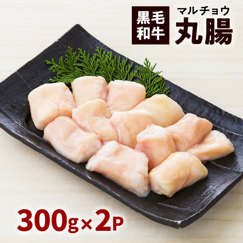 黒毛和牛 丸腸 300g 入り × 2パック ふるさと納税 鹿児島市 鹿児島県産 バクロ 牧場直営 一頭買い まるちょう 小腸 しょうちょう ホルモン ほるもん 焼肉 BBQ バーベキュー 肉汁