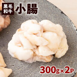 【ふるさと納税】黒毛和牛小腸 300g入り × 2パック 鹿児島県産 特産品 黒毛和牛 牛 牛肉 肉 小腸 ホルモン プリプリ ジューシー 焼肉 焼き肉 BBQ 肉汁 旨味 味噌 タレ パーティー ご家族 友人 おうち時間 贈り物 贈りもの 小分け パック 人気 おすすめ 鹿児島市 送料無料