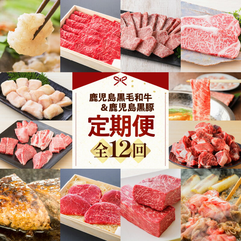 [全12回]鹿児島黒毛和牛&鹿児島黒豚定期便 送料無料 鹿児島市 九州 お取り寄せ さつま 薩摩 肉 お肉 牛肉 牛 ビーフ 和牛 国産牛 黒毛和牛 黒豚 豚肉 豚 ぶた ポーク 赤身 厚切り サーロイン ステーキ 上ロース ロース ミックスホルモン ホルモン