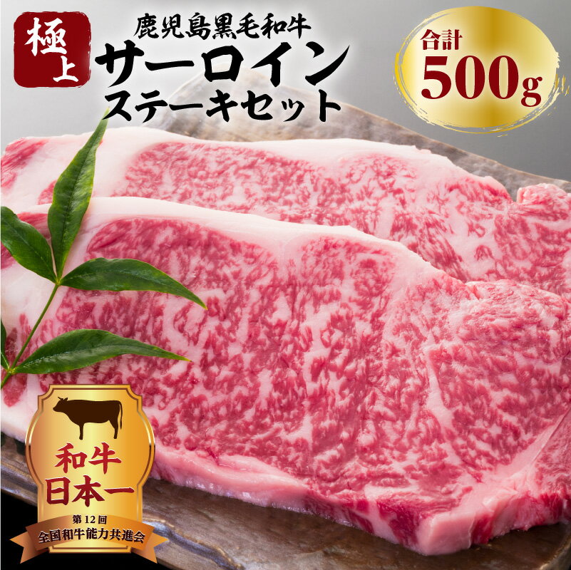 44位! 口コミ数「0件」評価「0」鹿児島黒毛和牛の極上サーロインステーキセット 500g ふるさと納税 鹿児島市 鹿児島県産 国産 国内産 肉 お肉 牛肉 ビーフ 和牛 国産･･･ 