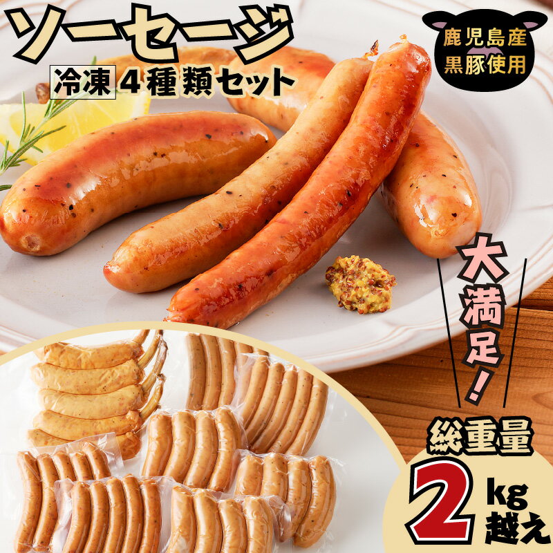 【ふるさと納税】【10月1日価格改定（値上げ）予定】大満足！ソーセージ4種類セット 送料無料 鹿児島市 九州 お取り寄せ 特産品 地域の品 お礼の品 お土産 贈り物 プレゼント ギフト 豚肉 黒豚 小分けパック ソーセージ ウインナー フランクフルト 骨付き 粗びき 粗挽のサムネイル