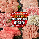 【ふるさと納税】【全6回】「肉のヨコムラ」鹿児島県産 黒毛和牛・黒豚 定期便(奇数月にお届け) 送料無料 しゃぶしゃぶ すき焼き ステーキ 焼肉 餃子 ハンバー...