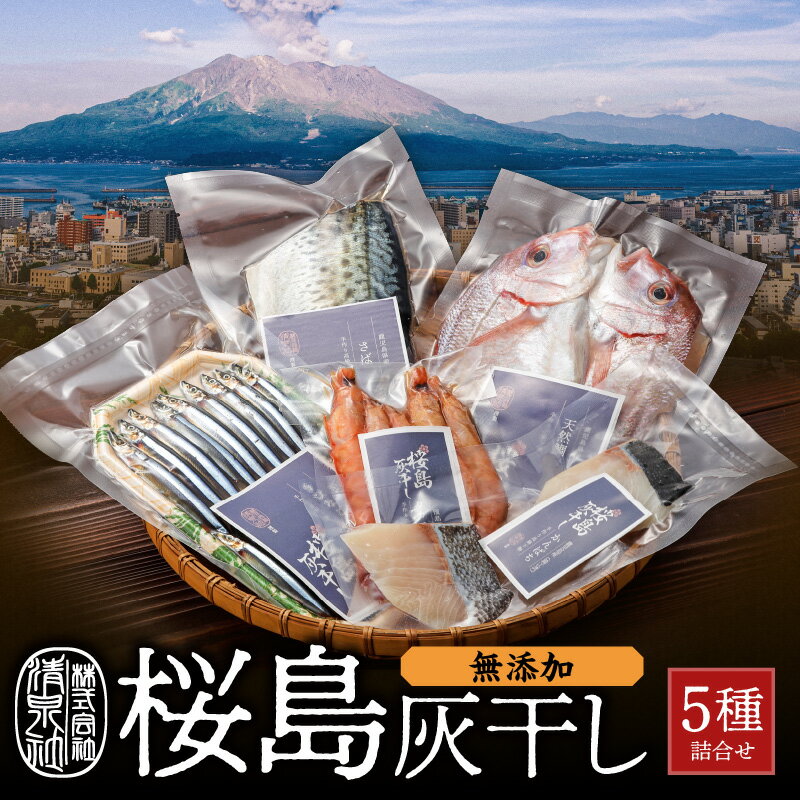 1位! 口コミ数「1件」評価「5」 桜島 灰干し 5種 詰合せ 送料無料 海産物 海の幸 魚介 魚 さかな 干物 ひもの 灰干し 手作り 手づくり 無添加 鯖 さば サバ 鯛･･･ 