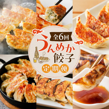 【 全6回 】 うんめか 餃子 定期便 ぎょうざ ギョーザ 冷凍餃子 惣菜 野菜 やさい 肉 お肉 肉汁 牛 牛肉 ビーフ 和牛 国産牛 黒毛和牛 おかず つまみ おつまみ 鹿児島 おすすめ ランキング プレゼント ギフト