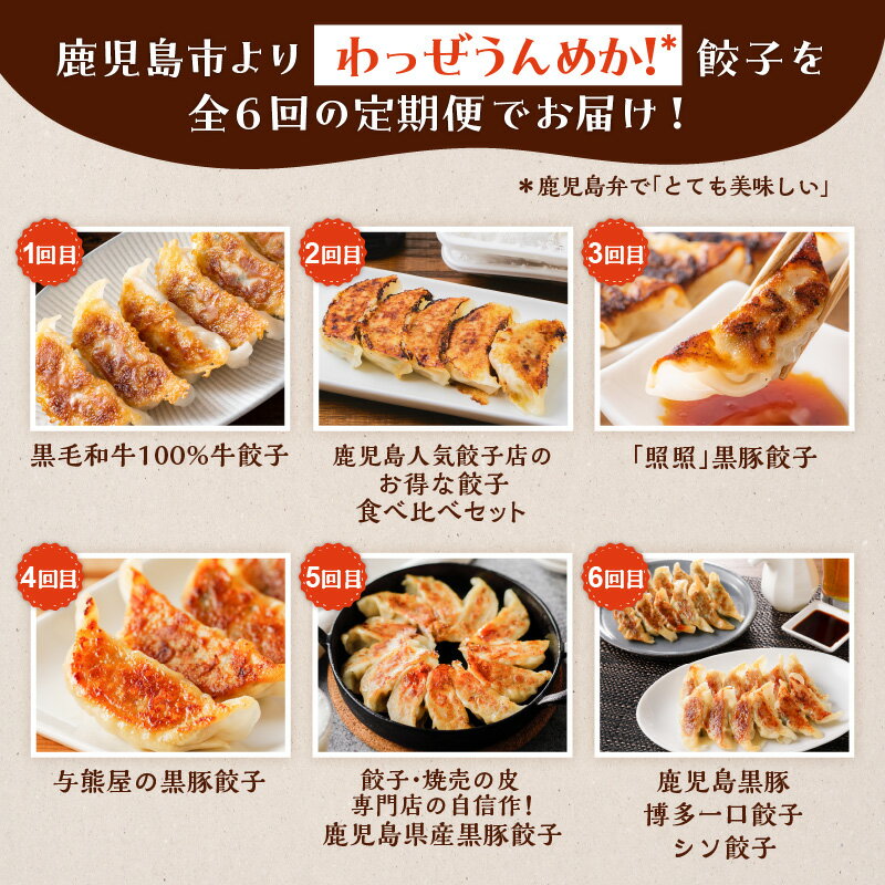 【ふるさと納税】【 全6回 】 うんめか 餃子 定期便 ぎょうざ ギョーザ 冷凍餃子 惣菜 野菜 やさい 肉 お肉 肉汁 牛 牛肉 ビーフ 和牛 国産牛 黒毛和牛 おかず つまみ おつまみ 鹿児島 おすすめ ランキング プレゼント ギフト