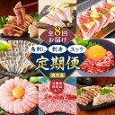 【ふるさと納税】【 全8回 】 鳥刺し 刺身 ユッケ 定期便 肉 牛肉 鶏肉 生肉 生食 魚 カンパチ 海鮮 魚介 小分け 新鮮 牛刺し きびなご 名物 グルメ...