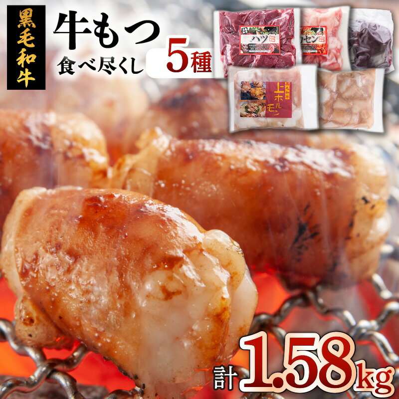 牛もつ 食べ尽くし ! オールスターセット 送料無料 鹿児島市 九州 特産品 地域の品 お礼の品 鮮度抜群 国産 黒毛和牛 もつセット ホルモン 小腸 丸腸 ハツ レバー アカセン テール モツ 焼肉 BBQ 旨み 小分け 食べきりサイズ 食べ比べ お取り寄せ グルメ