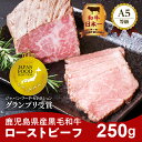 鹿児島県鹿児島市の画像3