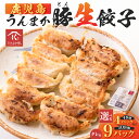 【ふるさと納税】<選べる> 鹿児島 うんまか豚生餃子 タレ付 48個 or 108個 餃子 ぎょうざ 豚 豚肉 うんまか豚 野菜 国内産 生姜 ネギ 焼き餃子 ...