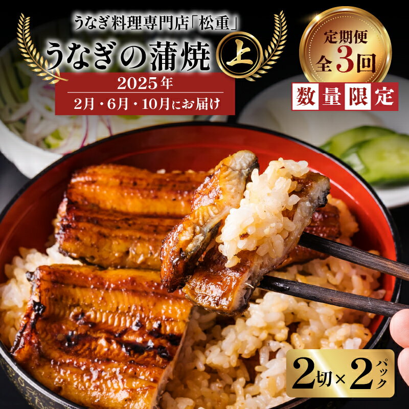 【ふるさと納税】 全3回 定期便 うなぎ料理 専門店 松重 まつじゅう 【 上 】 うなぎ 蒲焼 2切（1尾）× 2パック 【2・6・10月お届け】 定期 鰻 ウナギ うな重 うな丼 ひつまぶし 土用 丑の日 数量 期間 限定 うなぎの松重 鹿児島 おすすめ ランキング プレゼント ギフトのサムネイル