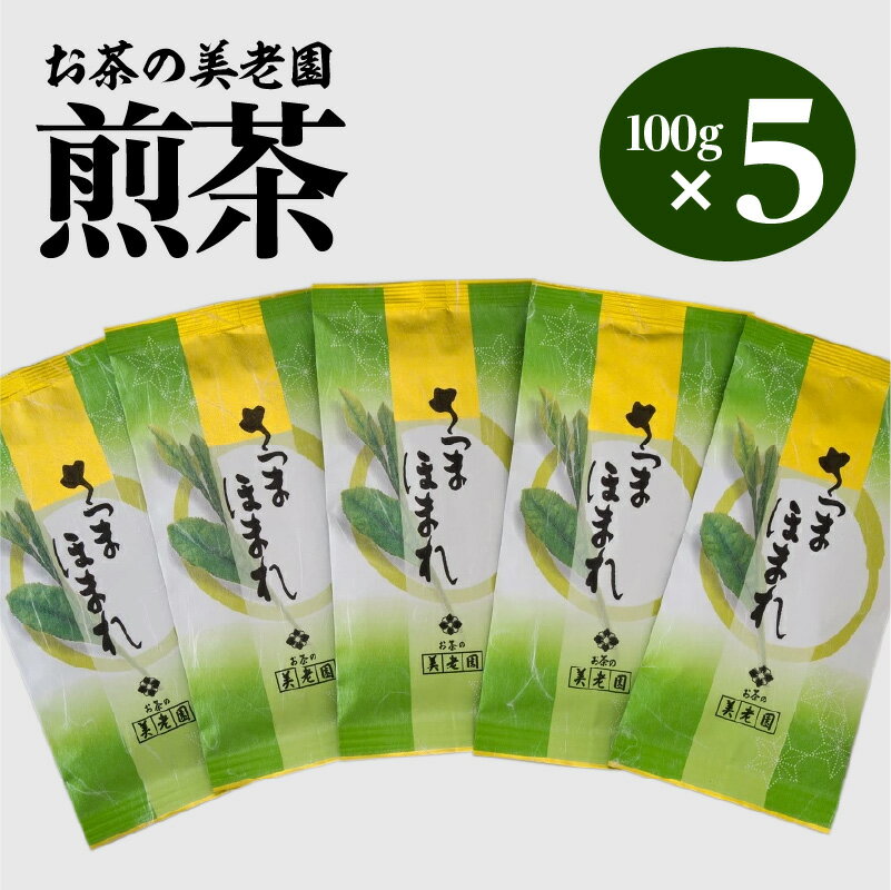 お茶の美老園 煎茶 計500g さつまほまれ お茶 茶 緑茶 茶葉 日本茶 お茶会 茶話会 和 ティー ティータイム ドリンク おもてなし 爽やか 国産 鹿児島県産 食品 飲料 薩摩 鹿児島市 送料無料 母の日