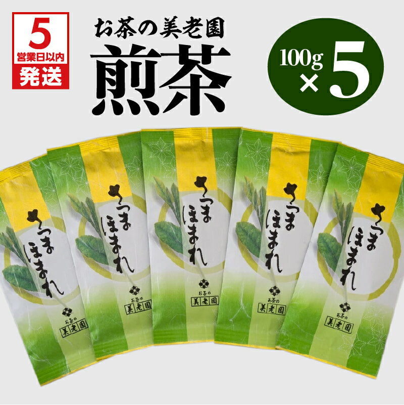[5営業日以内に発送] お茶の美老園 煎茶 計500g さつまほまれ お茶 茶 緑茶 茶葉 日本茶 お茶会 茶話会 和 ティー ティータイム ドリンク おもてなし 爽やか 国産 鹿児島県産 食品 飲料 薩摩 鹿児島市 送料無料