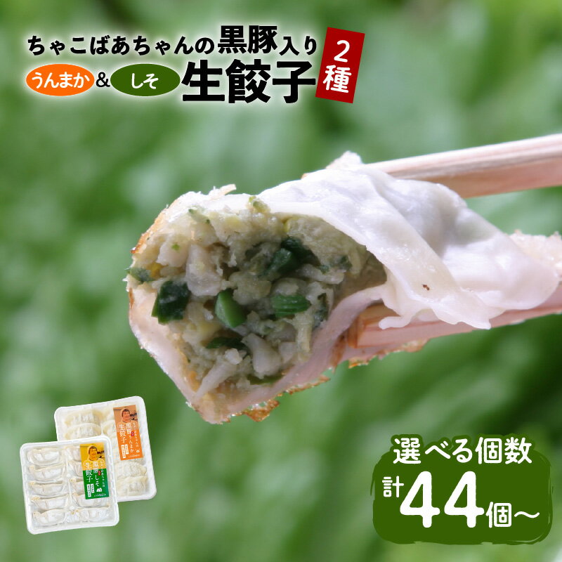 【ふるさと納税】<選べる> ちゃこばあちゃん 黒豚入り しそ入り うんまか しそ 生餃子 セット 44個 78個 100個 餃子 ぎょうざ ギョーザ シソ 紫蘇...