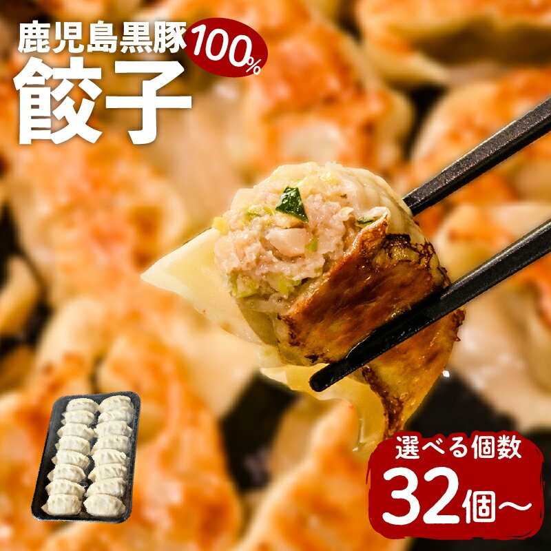 【ふるさと納税】鹿児島 黒豚 100％ 餃子 【内容量が選べる】 32個 48個 64個 20g 16個入り 鹿児島市 プレゼント ギフト 鹿児島県産黒豚 豚 冷凍餃子 こだわり製法 焼くだけ 簡単 パリパリ 国…