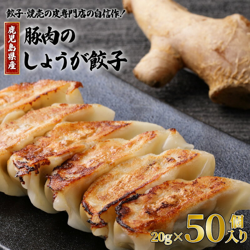 【ふるさと納税】餃子・焼売の皮専門店 自信作 鹿児島県産豚肉 しょうが餃子 50個入り 豚肉 肉 お肉 茶美豚 ブランド豚 銘柄豚 鹿児島県産 餃子 国内産 国産 国産野菜100％ しょうが こだわり …