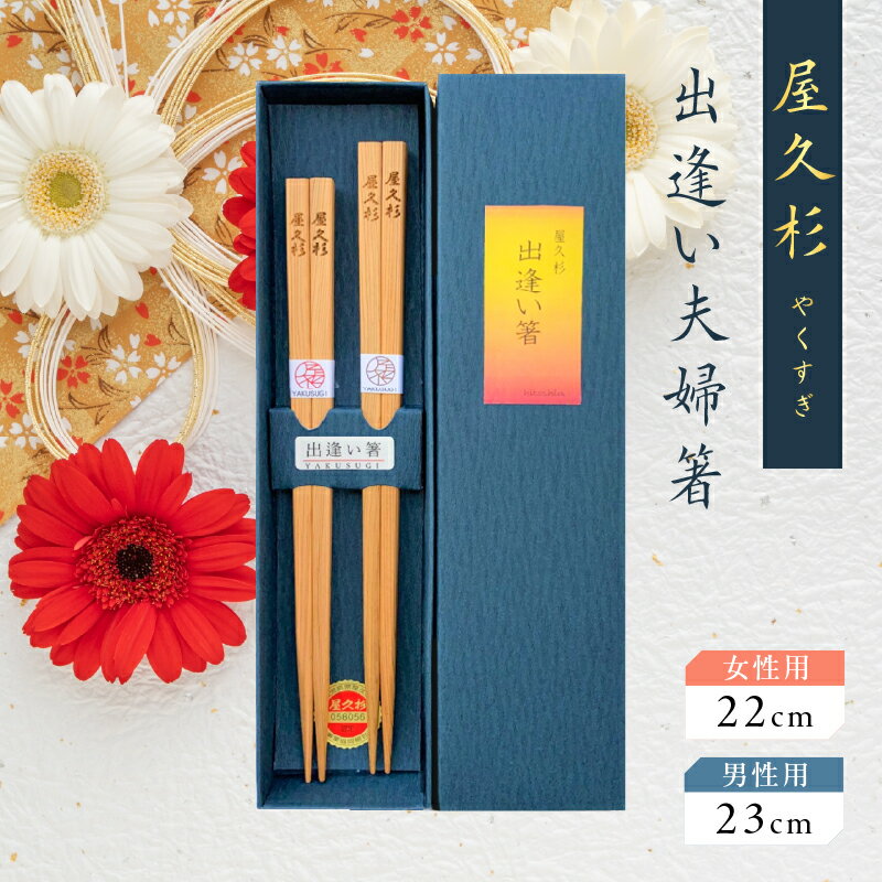 【ふるさと納税】 出逢い夫婦箸 セット 二膳 屋久杉 女性用 22cm 男性用 23cm 世界遺産 食器 おしゃれ ..