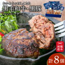 【ふるさと納税】【 岩元精肉店 】 鹿児島県産 黒毛和牛 100% 生ハンバーグ & かごしま黒豚 100% ハンバーグ (各4個入) 送料無料 鹿児島市 九州 お取り寄せ 特産品 地域の品 お礼の品 お土産 贈り物 プレゼント ギフト セット バラエティ 食品 グルメ 黒毛和牛 黒豚 肉 肉汁