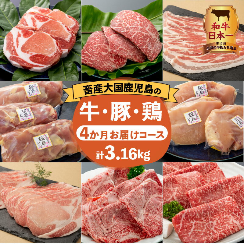 和牛日本一![ 岩元精肉店 ]先行予約 定期便 厳選 4か月 お届け コース 計3.16kg セット バラエティ 肉 精肉 牛 豚 鶏 黒毛和牛 黒豚 桜島どり ステーキ ロース モモ むね バラ 鹿児島 おすすめ ランキング プレゼント ギフト