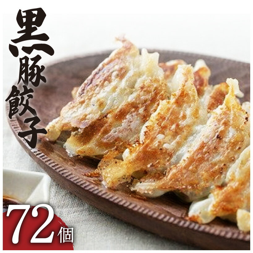 「照照」 黒豚 餃子 72個 鹿児島県産 鹿児島市 送料無料 お取り寄せ グルメ プレゼント ギフト 贈り物 おすすめ 特産品 地域の品 鹿児島県産黒豚 鹿児島県産黒豚餃子 国産 国内産 肉 豚肉 豚 こだわり 逸品 肉汁 旨味 美味しい 安心素材 簡単調理 地産地消