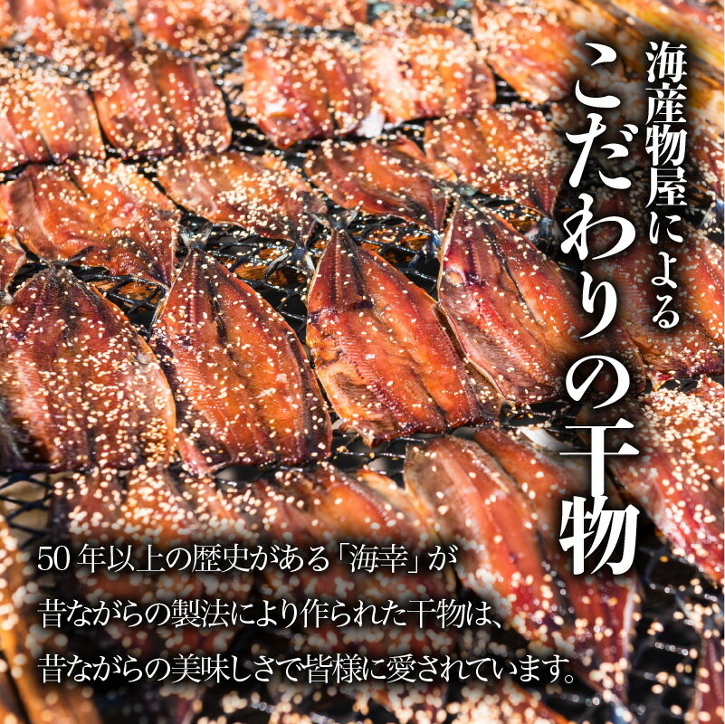 【ふるさと納税】こしき海洋深層水仕立て　塩干物詰合せ（A） ひもの さば あじ きびなご とびうお ちこ鯛 焼くだけ