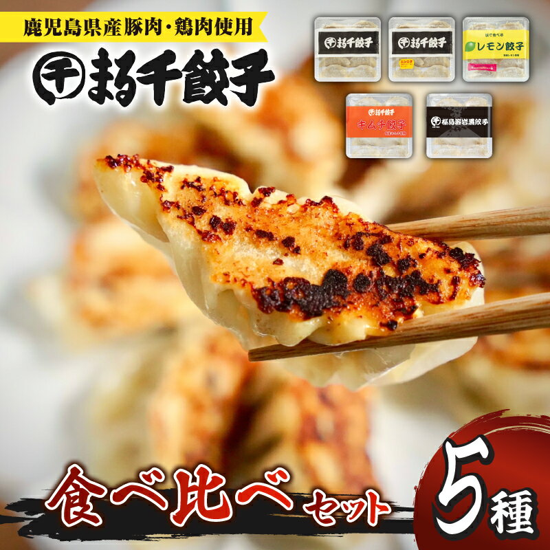 まる千餃子 食べ比べセット 惣菜 総菜 豚 鶏 鹿児島県産 国産 餃子 冷凍餃子 おかず 肉 野菜 にんにく キムチ レモン 岩塩 黒豚 黒さつま鶏 炭 中華 鹿児島 おすすめ ランキング プレゼント ギフト 冷凍 父の日