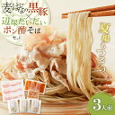 【ふるさと納税】 麦のはな の 黒豚×辺塚だいだいポン酢そば セット 3人前 そば 蕎麦 石臼挽きそば 黒豚 ポン酢 辺塚だいだい 鹿児島県産 出汁 こだわり 謹製 豚 肉 スープ 細麺 粋麺麦のはな ふるさと納税 鹿児島 おすすめ ランキング プレゼント ギフト|詳細画像