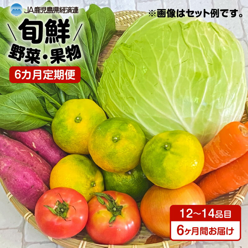 【ふるさと納税】【JA直売所セレクト】6ヵ月定期便！旬鮮野菜