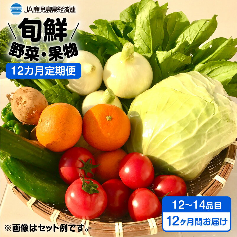 1位! 口コミ数「0件」評価「0」【JA直売所セレクト】12ヵ月定期便！旬鮮野菜・果物セット（12～14品目） ふるさと納税 鹿児島市 贈り物 プレゼント ギフト お取り寄せ･･･ 