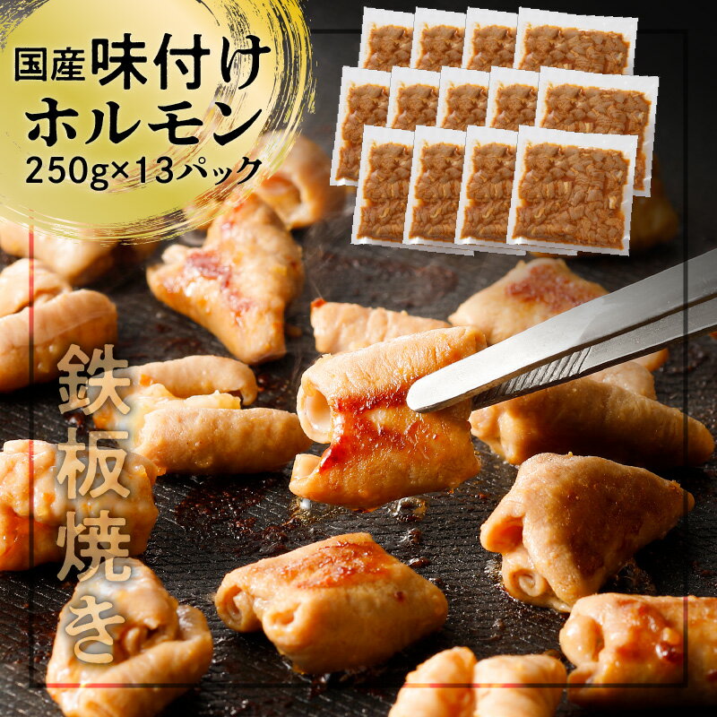 【ふるさと納税】【 ナンチクファクトリー 】国産豚 味付けホルモン 3.2kg 以上（F） 送料無料 鹿児島市 国産 豚 ホルモン 味付き 加工肉 加工品 惣菜 おかず 食品 時短 焼くだけ おすすめ ギフト プレゼント 焼肉 BBQ キャンプ 小分け 大容量 ボリューム