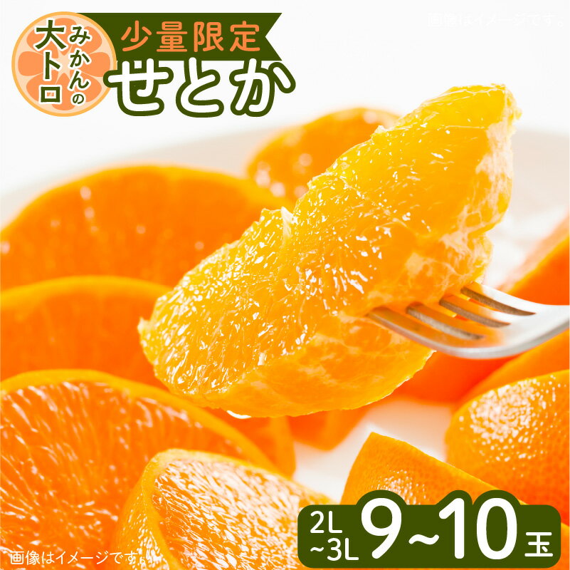 【ふるさと納税】令和5年4月30日までの申込限定 せとか 先行予約 ハウス栽培 期間限定 数量限定 2L 3L 柑橘界の大トロ みかん 柑橘 濃厚 希少 貴重 果物 果実 フルーツ 甘い とろける 食感 美味しい 桜島 国産 ギフト 産地直送 鹿児島県 送料無料のサムネイル
