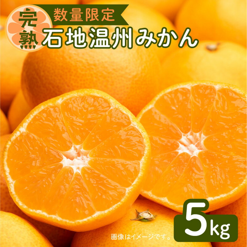 【ふるさと納税】完熟 石地 温州みかん 約5kg 秀品【先行予約 期間限定 数量限定 令和5年1月15日までの申込限定】希少 完熟温州みかん 温州 みかん 中生 中生品種 柑橘 オレンジ 果物 フルーツ お土産 贈答 ギフト お歳暮 産地直送 鹿児島 鹿児島県産 鹿児島市 送料無料のサムネイル