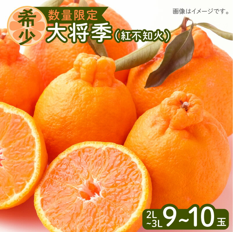 【ふるさと納税】令和5年6月15日までの申込限定 大将季 9玉 ～ 10玉 2L 3L 紅不知火 ハウス栽培 先行予約 期間限定 数量限定 柑橘 果物 フルーツ デザート 果実 果汁 特産品 桜島 国産 九州産 鹿児島県産 産地直送 鹿児島県 送料無料のサムネイル