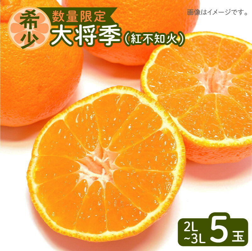 【ふるさと納税】令和5年6月15日までの申込限定 大将季 紅不知火 5玉 ハウス栽培 先行予約 期間限定 数量限定 柑橘 果物 フルーツ デザート 果実 果汁 特産品 桜島 国産 九州産 鹿児島県産 産地直送 鹿児島県 送料無料のサムネイル