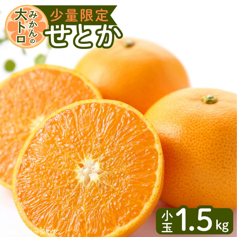 【ふるさと納税】令和5年4月25日までの申込限定 せとか 小玉 1.5kg ハウス栽培 先行予約 期間限定 数量限定 柑橘 果物 フルーツ デザート 果実 果汁 甘い とろける 食感 美味しい 桜島 国産 九州産 鹿児島県産 産地直送 鹿児島県 送料無料のサムネイル