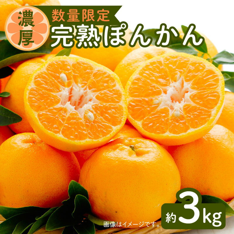 【ふるさと納税】令和5年2月28日までの申込限定【甘さ濃厚】完熟ぽんかん約3kg ハウス栽培 先行予約 期間限定 数量限定 柑橘 果物 フルーツ デザート 果実 果汁 甘い とろける 食感 美味しい 桜島 国産 南国 九州産 鹿児島県産 産地直送 鹿児島県 送料無料のサムネイル