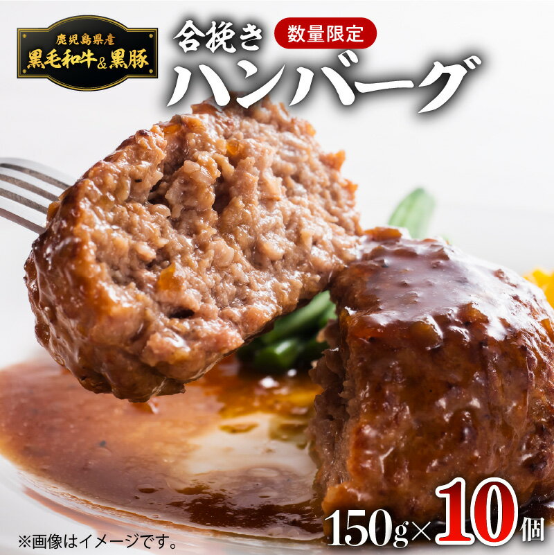 [1,500g]黒毛和牛・黒豚生ハンバーグトレー無し SDGs 150g × 10個 数量限定 鹿児島県産 合挽き ハンバーグ 黒毛和牛 黒豚 計1500g 生ハンバーグ 合挽き 真空パック 個別トレー無し エコ 小分け 贅沢 牛肉 豚肉 簡単調理 焼くだけ 時短 鹿児島市 送料無料