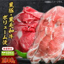 【ふるさと納税】毎月 数量限定 黒豚 黒毛和牛 ボリューム便 1080g 小分け セット トレー無し 送料無料 鹿児島市 九州 おすすめ お取り寄せ グルメ 特...