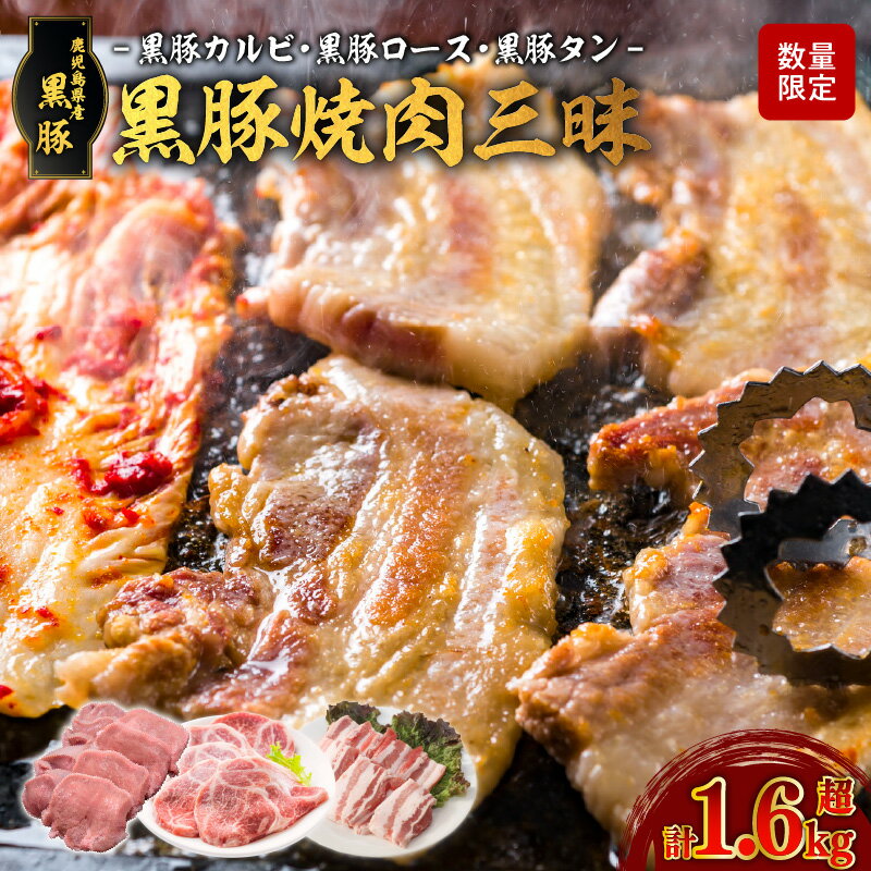 【ふるさと納税】数量限定 黒豚 焼肉 三昧 3種 セット 合計 1.6kg 超 豚肉 カルビ ロース タン 食べ比べ 詰め合わせ お肉 肉 黒 豚 食品 グルメ お取り寄せグルメ おすすめ 美味しい キャンプ アウトドア 鉄板焼き 特産品 特産 冷凍 鹿児島県産 鹿児島市 送料無料