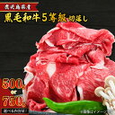 【ふるさと納税】鹿児島県産 黒毛和牛 5等級 切落し 【内容量が選べる】 500g 〜 750g 送料無料 肉質 等級 5等級 お肉 肉 牛 和牛 ビーフ 国産...