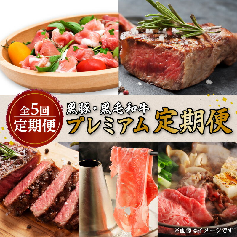 【全5回定期便】 黒豚 ・ 黒毛和牛 プレミアム 定期便 送料無料 鹿児島市 九州 お取り寄せ グルメ 特産品 お礼の品 お土産 贈り物 プレゼント ギフト 定期 肉 豚 牛 黒豚 ステーキ すき焼き しゃぶしゃぶ 冷凍 便利