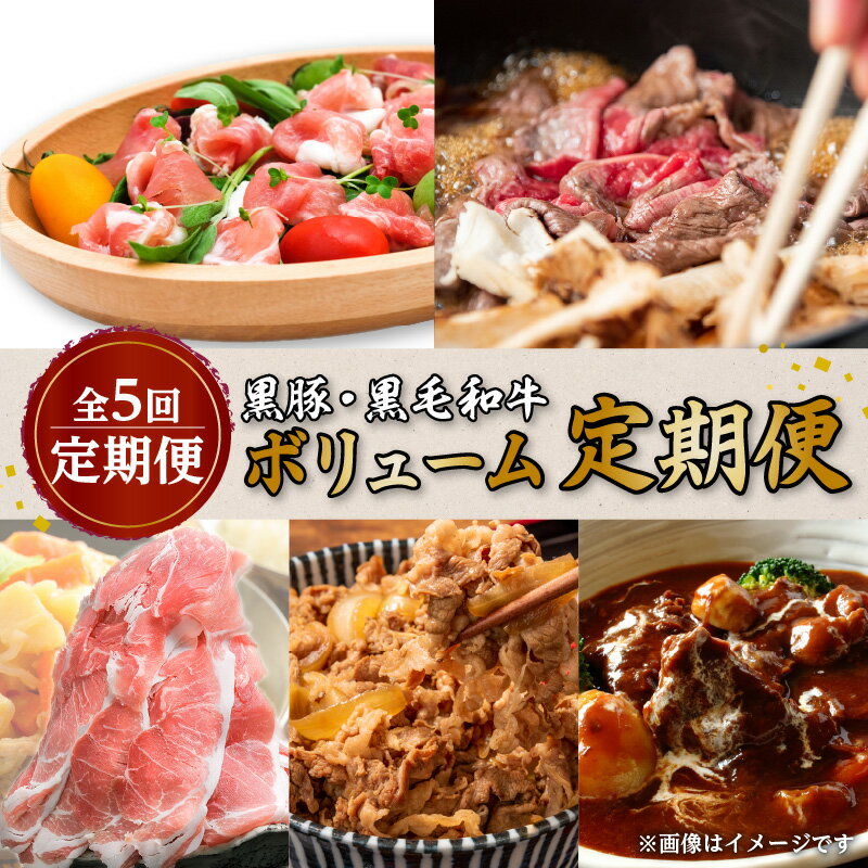 【全5回定期便】 黒豚 ・ 黒毛和牛 ボリューム 定期便 （7月～11月便） 送料無料 鹿児島市 九州 お取り寄せ グルメ 特産品 お礼の品 贈り物 プレゼント ギフト 定期 肉 豚 牛 黒豚 切り落とし 冷凍 便利 大容量 小分け