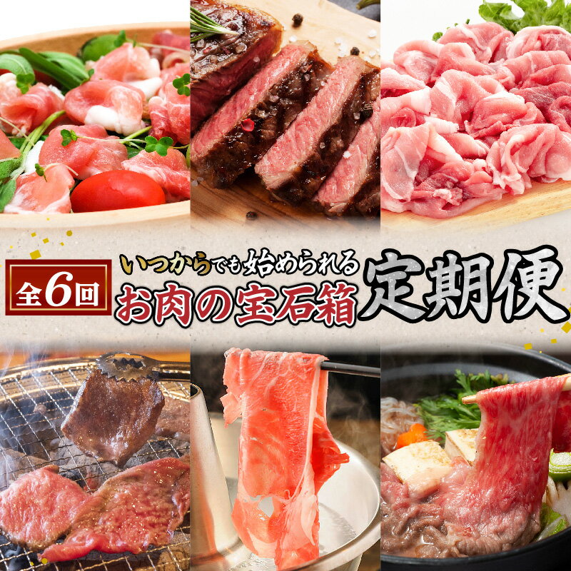 【ふるさと納税】【全6回】お肉 の 宝石箱 定期便 〈いつからでも始められる〉送料無料 鹿児島市 九州 ..