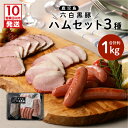 【ふるさと納税】【10営業日以内に発送】 鹿児島黒豚 ハムセット 計 1kg 3種類 詰め合わせ セット 豚 豚肉 黒豚 ハム ウインナー ソーセージ 熟成 燻...