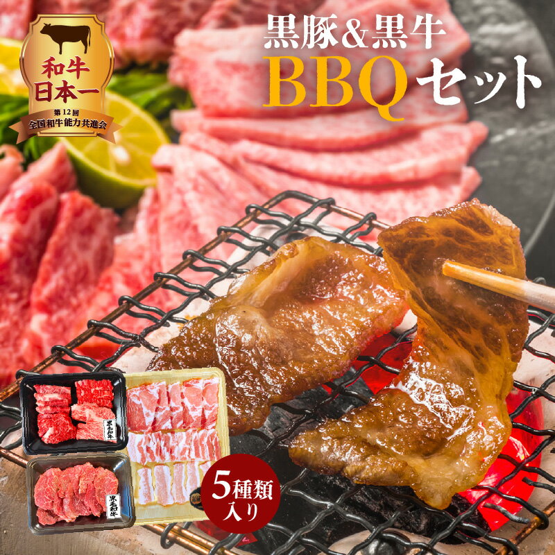 和牛日本一! 鹿児島県産黒豚&黒牛5種BBQセット 黒豚 BBQ セット 厳選 牛肉 お肉 肉 黒毛和牛 和牛 国産牛 豚肉 かごしま黒豚 鹿児島県産黒毛和牛 経産牛 ヘルシー 旨み キャンプ レジャー 行楽 焼肉 豚とろ カルビ 赤身 鹿児島県 鹿児島市 送料無料