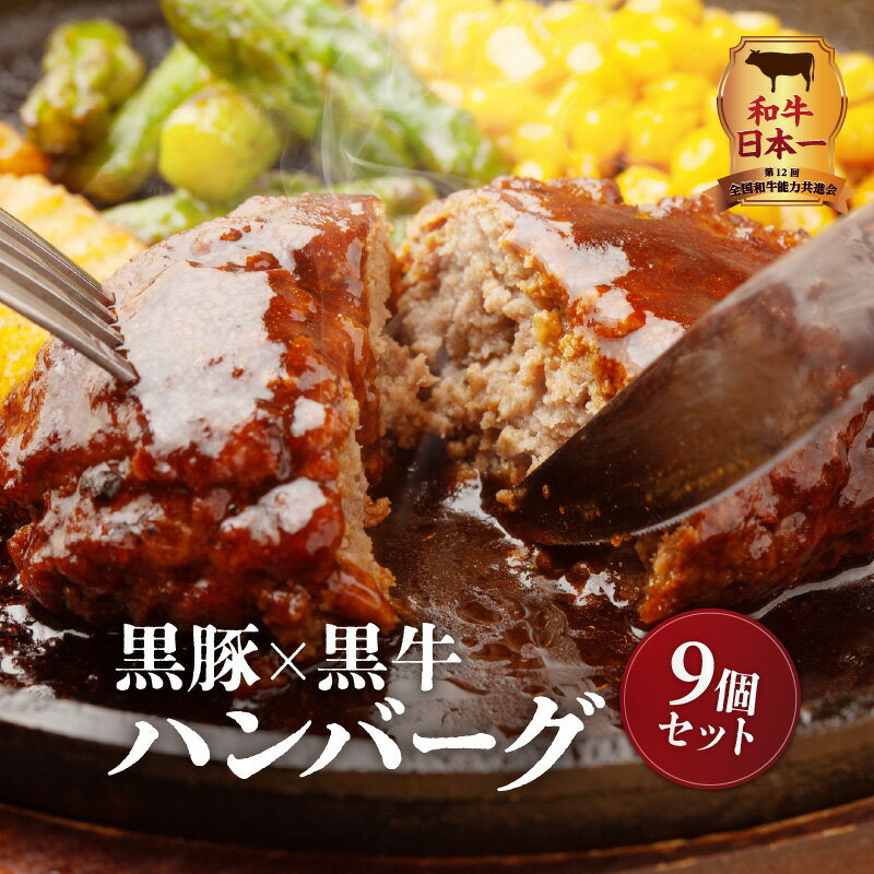 和牛日本一 黒豚 × 黒牛 ハンバーグ 9個 セット 送料無料 鹿児島市 九州 お取り寄せ 特産品 地域の品 お土産 プレゼント 真空パック 厳選 高品質 鹿児島県産黒毛和牛 黒毛和牛 経産牛 和牛 牛 豚肉 豚 食品 バーグ 加工品 惣菜 肉汁 生ハンバーグ グルメ