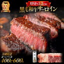 【ふるさと納税】黒毛和牛 厚切り サーロイン 【 選べる グラム数 】 400g 500g 600g 送料無料 高評価 サーロインステーキ ステーキ 焼肉 ブロ...