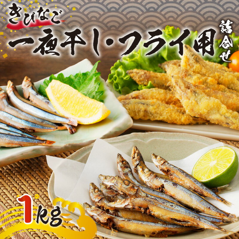 津曲商店 きびなご 一夜干し フライ用 詰合せ 1kg 送料無料 贈り物 プレゼント ギフト セット お取り寄せ お土産 特産品 地域の品 お礼の品 家庭 揚げ物 魚 魚介 海の幸 海鮮 フライ 郷土料理 天ぷら おつまみ おやつ カルシウム 九州 鹿児島市