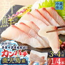 【ふるさと納税】 鹿児島産 スライスするだけ! カンパチ 刺身用 1/4本 3〜4人前 魚 刺身 かんぱち 半身 柵 カルパッチョ ムニエル ソテー 照り焼き ...