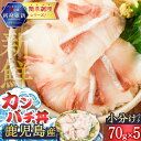 【ふるさと納税】【父の日特集】 鹿児島産 カンパチ丼 70g×5セット 魚 刺身 カンパチ 海鮮 丼 カット済 小分け 冷凍 流水解凍 簡単 便利 鮮度 ノンド...
